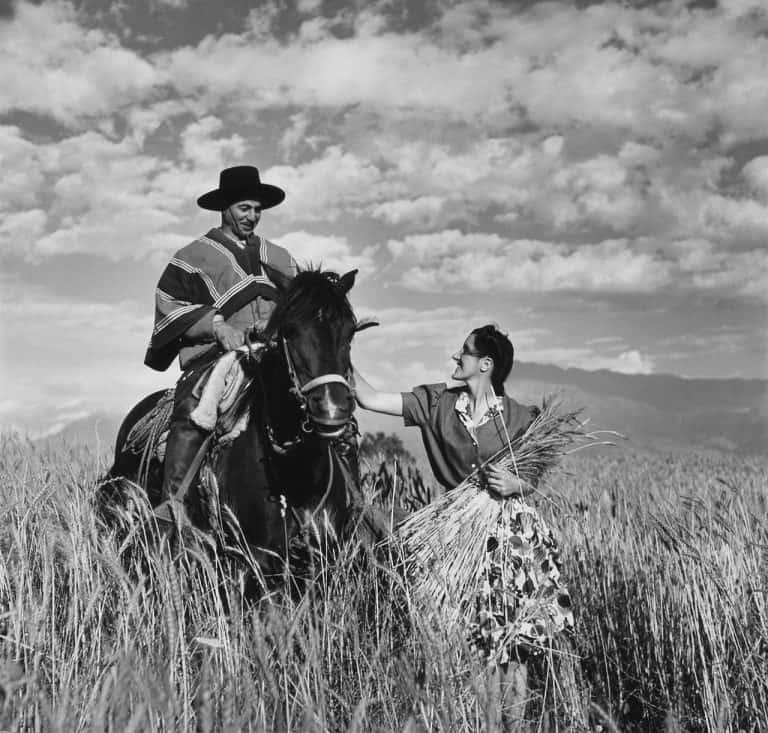 Gaucho from the Andes